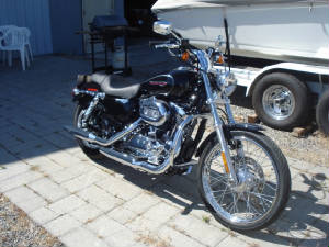 2008XL1200CPat-7-C1.JPG
