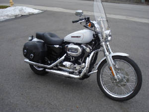2008XL1200CWht-8-C1.JPG