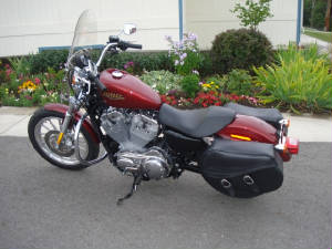 2009XL883LRed.JPG
